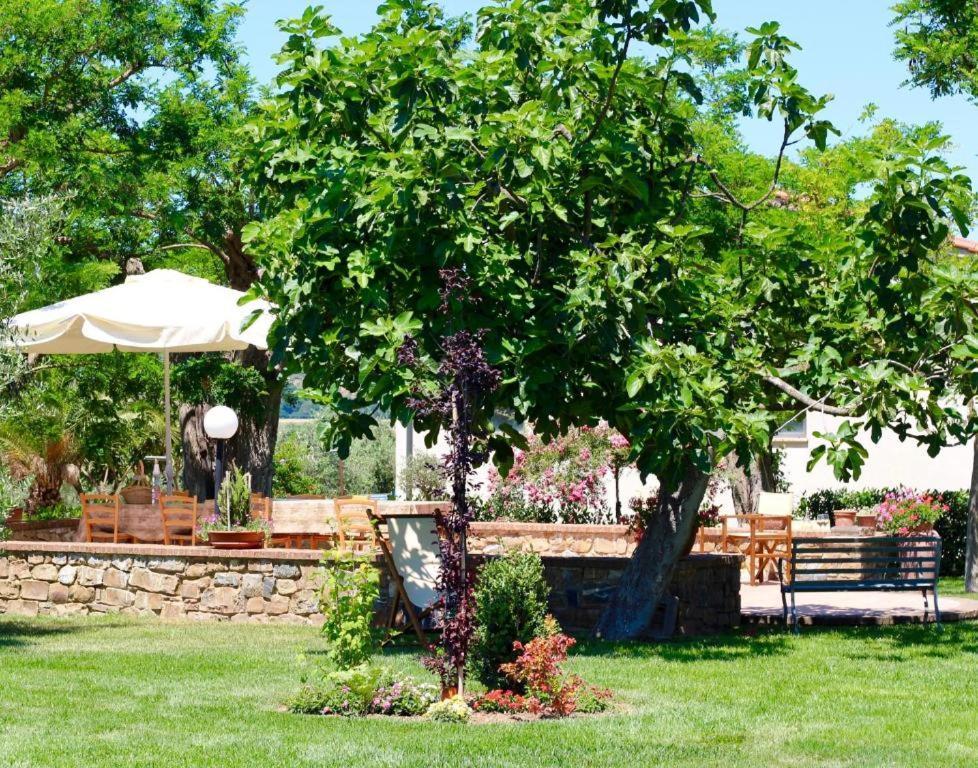 Agriturismo Vecchio Imposto Villa Massa Marittima Exterior photo